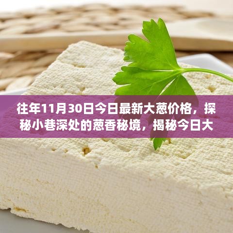 探秘小巷深處的蔥香秘境，揭秘往年今日最新大蔥價(jià)格背后的故事