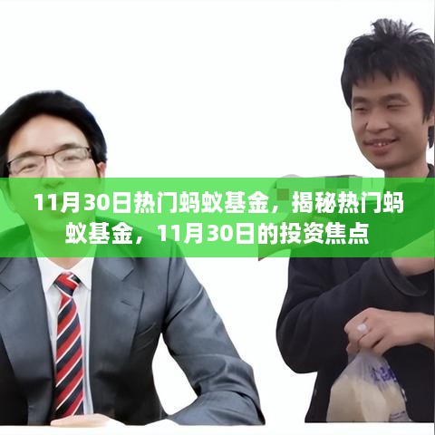 揭秘熱門螞蟻基金，11月30日的投資焦點分析