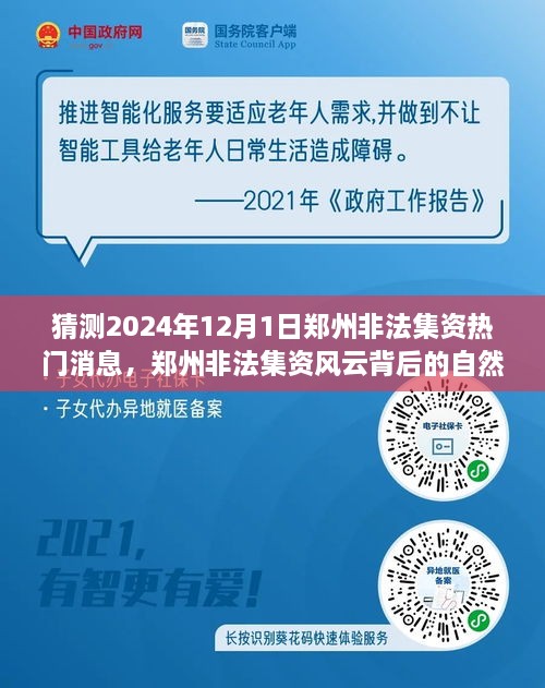 鄭州非法集資風(fēng)云背后的自然之旅，探尋心靈寧靜秘境的秘境與熱門消息猜測 2024年12月1日最新動態(tài)