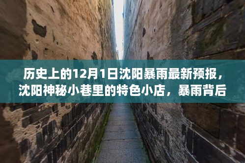 沈陽暴雨背后的神秘小巷寶藏，歷史、最新預(yù)報與特色小店探索