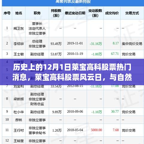 歷史上的12月1日萊寶高科股票熱門消息，萊寶高科股票風(fēng)云日，與自然美景的奇妙邂逅，心靈旅行的啟程時(shí)刻