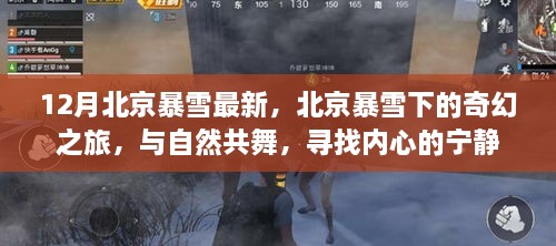 北京暴雪下的奇幻之旅，與自然共舞，探尋內(nèi)心寧靜的旅程