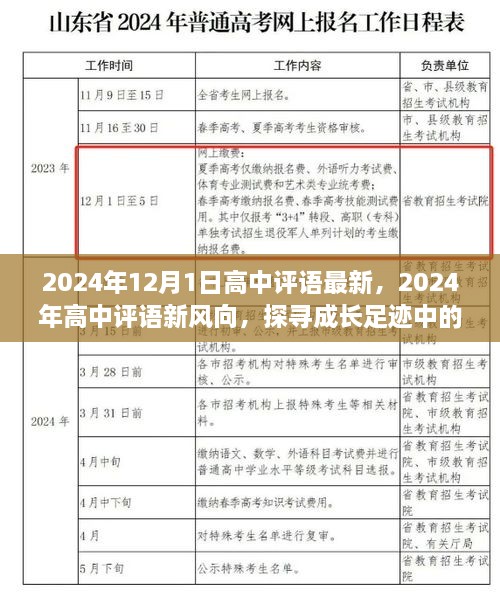 2024年高中評語新風向，深度洞察成長足跡與未來展望