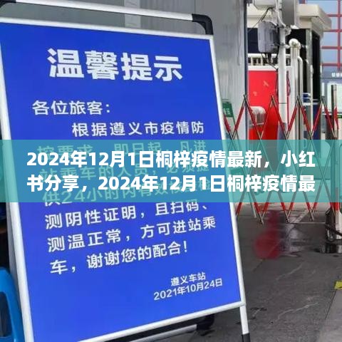 2024年12月1日桐梓疫情最新動態(tài)及防疫生活小紅書分享