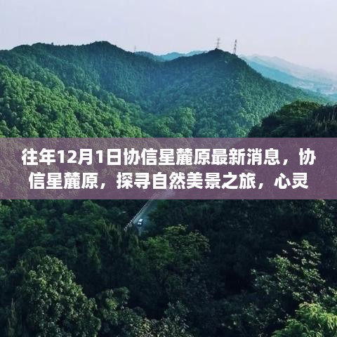 協(xié)信星麓原最新消息，探尋自然美景之旅的心靈港灣