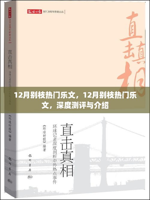 深度測(cè)評(píng)與介紹，12月別枝熱門樂(lè)文