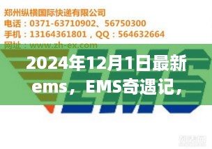 EMS奇遇記，快遞背后的溫暖故事揭秘，2024年12月最新篇章