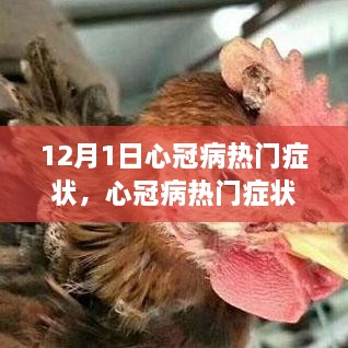 心冠病熱門癥狀深度解析，背景、事件與影響（最新更新）