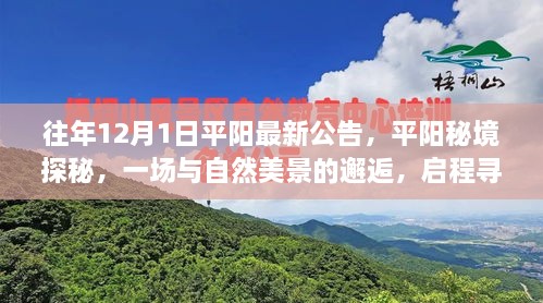 平陽秘境探秘之旅，與自然美景的邂逅，尋找寧靜之地啟程