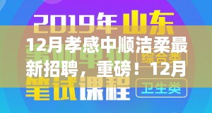 孝感中順潔柔12月最新招聘啟事，職場新星挑戰(zhàn)，崗位空缺等你來填補