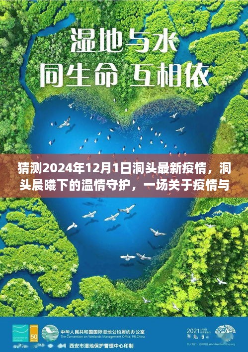 洞頭晨曦下的溫情守護，疫情與友情的日常故事預測至2024年12月1日