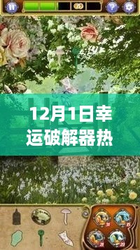 12月1日幸運破解器中文版，解鎖自然之美的犯罪風險探討