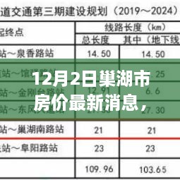 巢湖市房價最新動態(tài)揭秘，深度剖析市場走勢