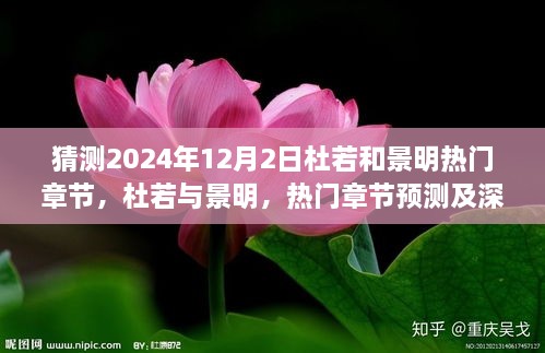 杜若與景明熱門章節(jié)預(yù)測(cè)深度分析，2024年12月2日展望