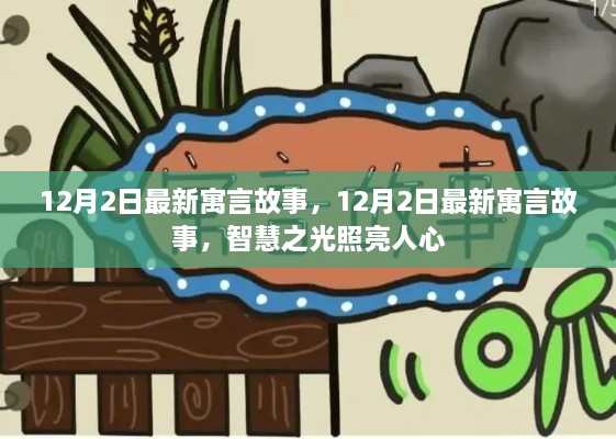 12月2日最新寓言故事，智慧之光照耀人心