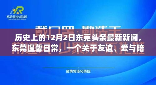 東莞頭條新聞，友誼與愛(ài)在冬日綻放——十二月二日的溫馨日常故事