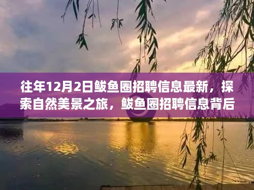 揭秘鲅魚圈招聘信息背后的自然美景之旅，寧靜秘境等你來探索