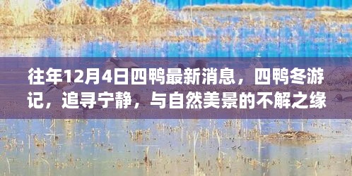 往年12月4日四鴨冬游記，追尋寧?kù)o與美景的不解之緣