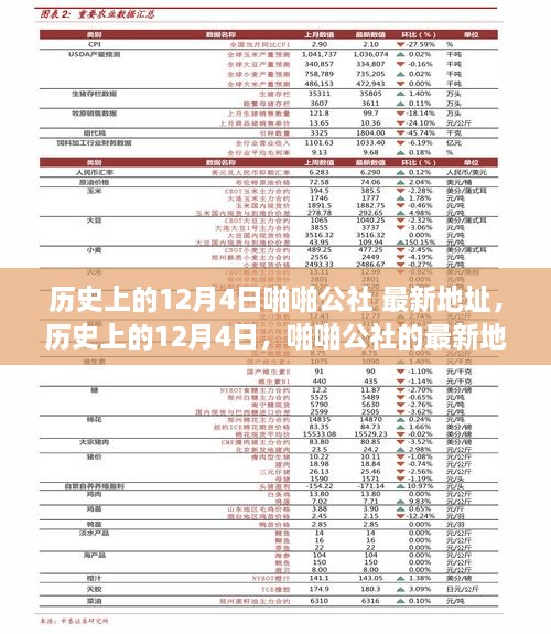 歷史上的12月4日，啪啪公社的最新地址及其背后的故事揭秘（科普文章）