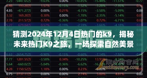 揭秘未來熱門K9之旅，啟程于2024年12月4日的自然美景探索之旅