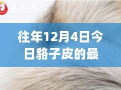 12月4日貉子皮最新價格及歷年趨勢解析，市場動態(tài)一覽