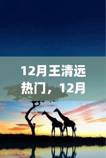 追尋自然之旅，王清遠在十二月的腳步與心靈之旅