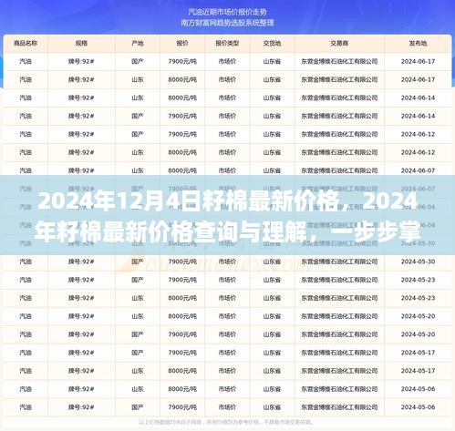 2024年12月4日籽棉最新價(jià)格，2024年籽棉最新價(jià)格查詢與理解，一步步掌握行情分析技能