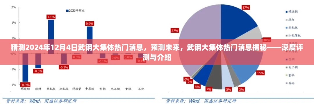 揭秘武鋼大集體未來熱門消息，深度評測與預(yù)測報告（2024年12月4日版）