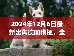 最新德國獵梗犬全面評測與出售信息，特性、競品對比及目標(biāo)用戶分析（2024年最新版）