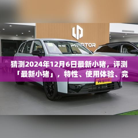 最新小豬測評報告，特性、體驗、競品對比及目標(biāo)用戶群體分析（預(yù)測至2024年）