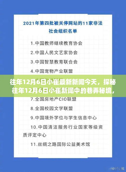 探秘往年12月6日小崔新聞中的巷弄秘境，小巷深處的特色小店揭秘