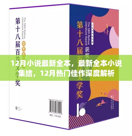 12月熱門小說全本集結(jié)與深度解析