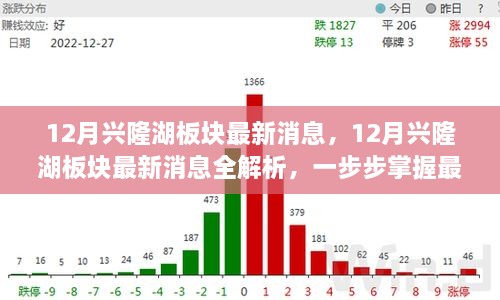 掌握興隆湖板塊最新動態(tài)，全面解析十二月最新消息