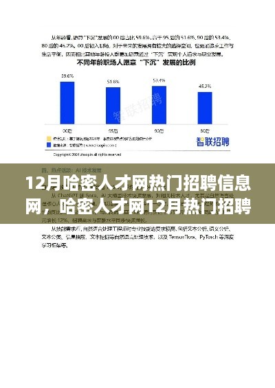 哈密人才網(wǎng)12月熱門招聘信息解讀，市場新動向與求職策略深度探討