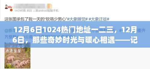 記藏于數(shù)字一二三間的溫馨日常，12月6日的奇妙時(shí)光與暖心相遇