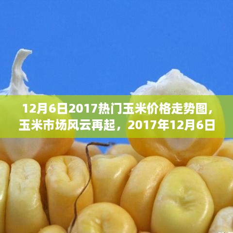 深度解析，玉米市場風云再起，最新玉米價格走勢圖（2017年12月6日）