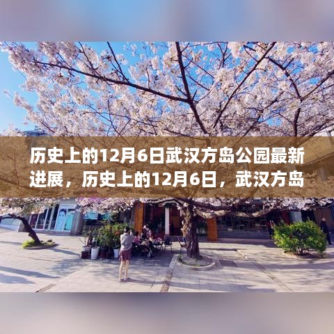 武漢方島公園最新進(jìn)展深度解析，歷史上的12月6日回顧與進(jìn)展報(bào)告