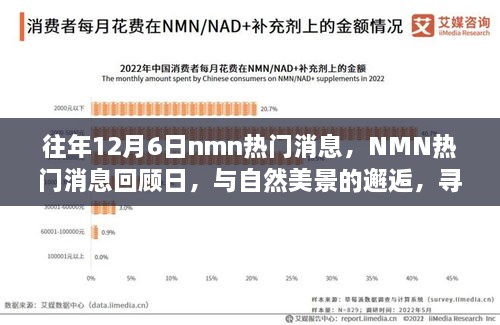 往年NMN熱門消息回顧日，與自然美景的邂逅，心靈寧靜之旅啟程