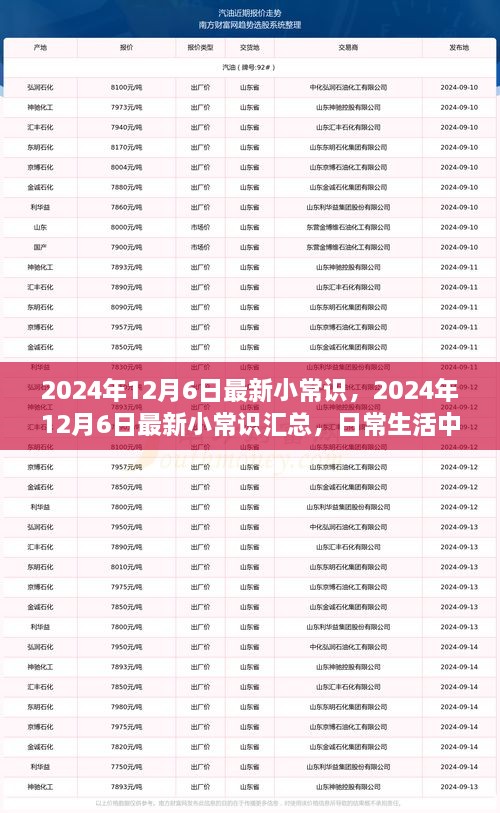 2024年12月6日最新小常識一覽，日常生活中的新奇知識匯總