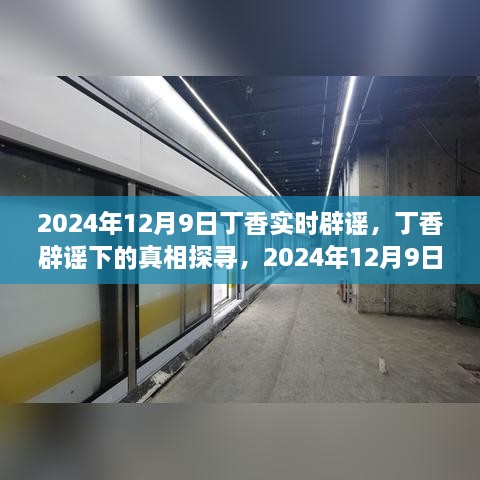 2024年視角下的丁香實(shí)時(shí)辟謠，探尋真相之旅