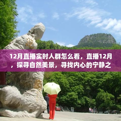 12月直播探尋自然美景，探尋內(nèi)心寧靜之旅的實(shí)時(shí)觀眾洞察