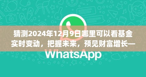 見證未來財(cái)富增長(zhǎng)，把握基金實(shí)時(shí)變動(dòng)之旅，2024年12月9日揭曉！