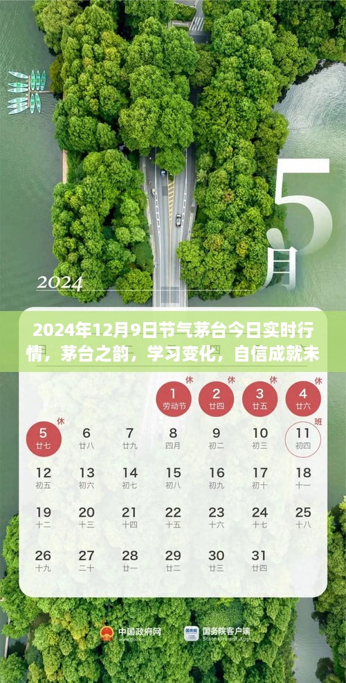 茅臺(tái)之韻，2024年12月9日實(shí)時(shí)行情啟示錄，洞悉變化，自信筑夢(mèng)未來