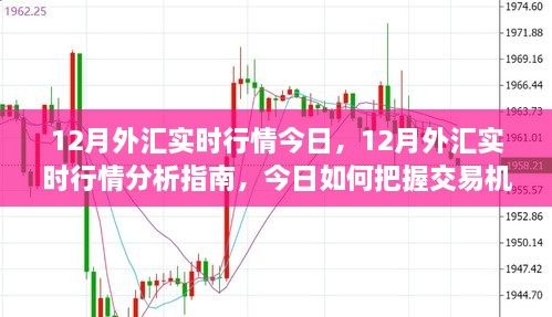 12月外匯實(shí)時行情解析，把握今日交易機(jī)遇的指南