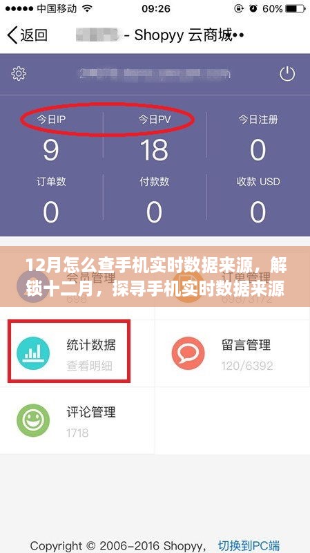 探尋手機實時數(shù)據(jù)來源的奧秘，十二月開啟自信與成就之旅的指南