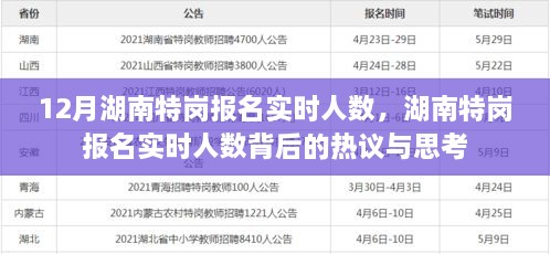 湖南特崗報(bào)名實(shí)時(shí)人數(shù)熱議與思考，背后的真相與啟示