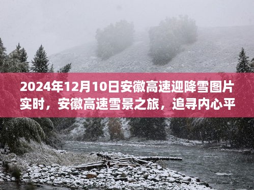 安徽高速迎降雪美景，冬日雪景之旅探尋內心平靜的時刻（實拍圖片）