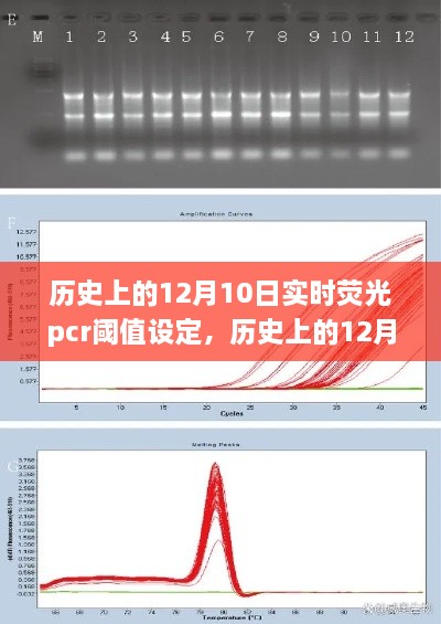 歷史上的12月10日，實時熒光PCR閾值設定的探索之旅