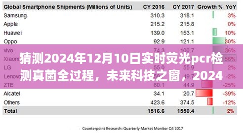 揭秘未來(lái)科技之窗，2024年實(shí)時(shí)熒光PCR檢測(cè)真菌全過(guò)程展望與解析