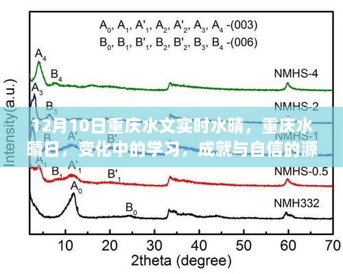 重慶水晴日下的學(xué)習(xí)成就與自信之源，變化中的探索與成長(zhǎng)之路